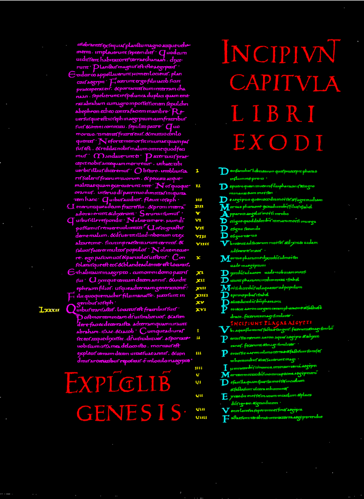 immagine segmentata